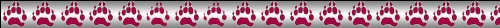 Bear River Paw Banner