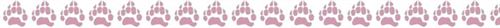 Paw Tracks