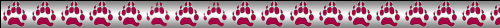 Bear River Paw Banner